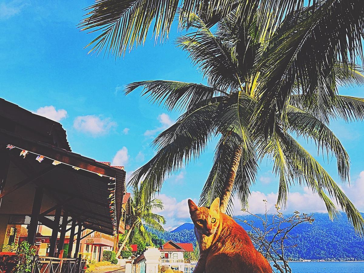 Panuba Inn Resort Kampong Ayer Batang Eksteriør billede